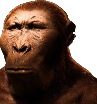 An early hominid standing at the end of the tunnel, looking at you